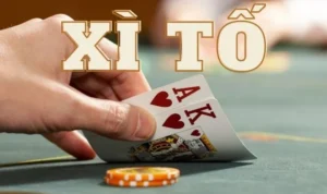 Xì Tố tại Vin777